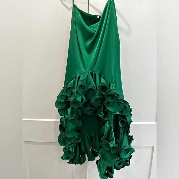 Birrin Green Dress - Picture 2 of 7